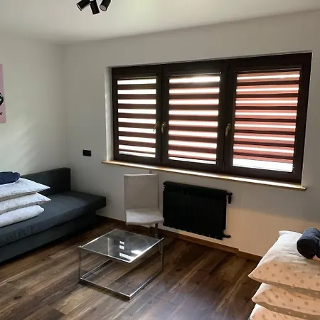 Apartament Komfortowy W Spokojnej Dzielnicy *